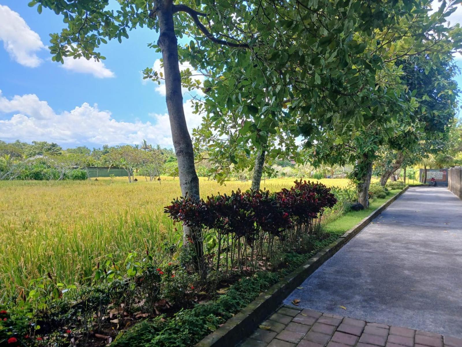 Kartika Dahayu Private Pool Villas Sukawati Exteriör bild